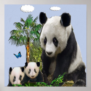 Panda Bären-Designs Poster