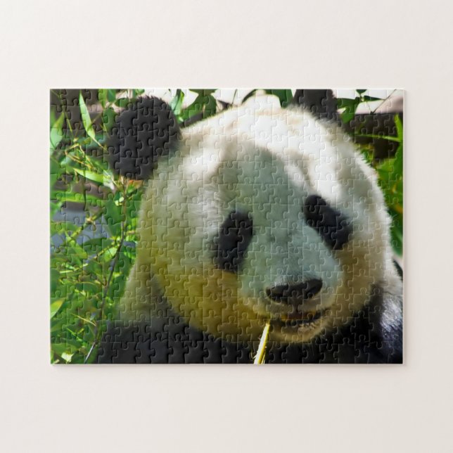 Panda-Bären. Puzzle (Horizontal)