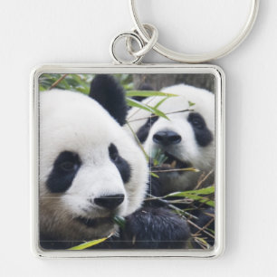 Panda-Bären Schlüsselanhänger