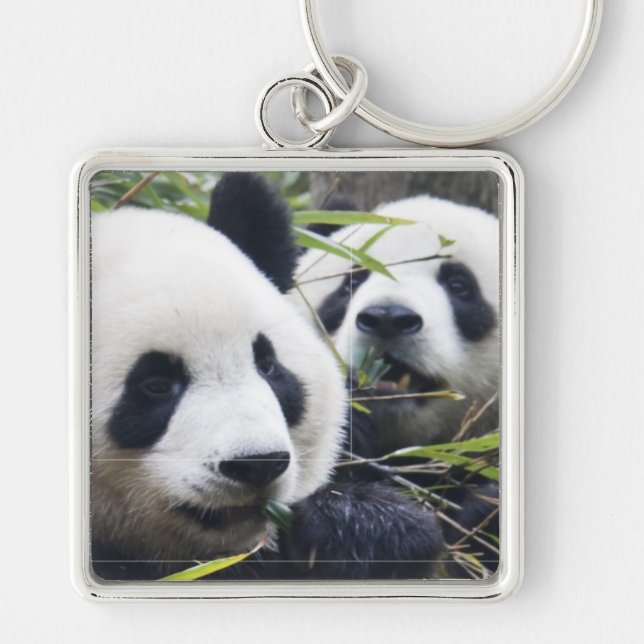 Panda-Bären Schlüsselanhänger (Vorne)