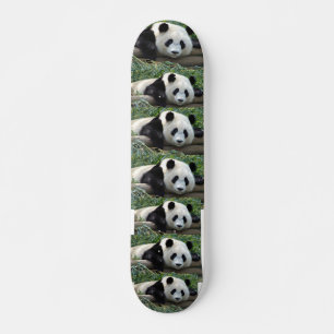 PANDA-BÄREN SKATEBOARD