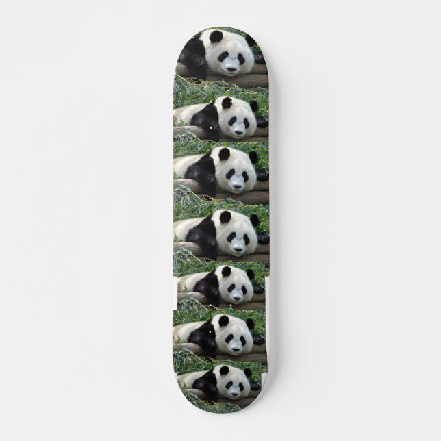 PANDA-BÄREN SKATEBOARD (Vorne)