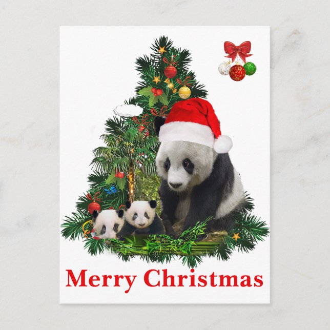 Panda Bären Weihnachten  (Vorderseite)