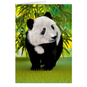 Panda-Bärenjunges