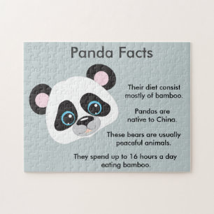Panda-BärenleFakten Puzzle