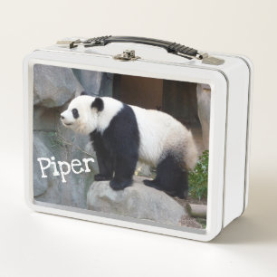 Panda-Bärenlunchbox Metall Brotdose