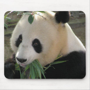 Panda-Bärenumarmungen Mousepad