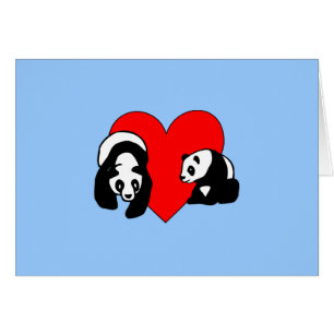 Panda-Bärn-Liebe