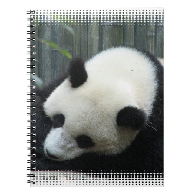 Panda-Bärn-Notizbuch Notizblock (Vorderseite)