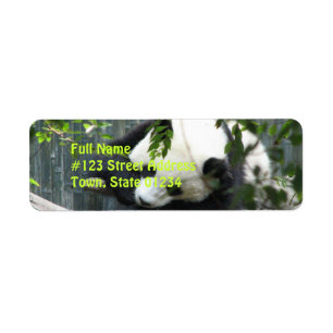 Panda-Bärn-Rücksendeadresse-Aufkleber