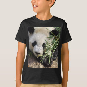 Panda-Bärn-@ Zoo Atlanta T-Shirt
