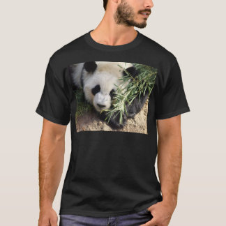 Panda-Bärn-@ Zoo Atlanta T-Shirt