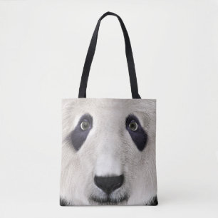 Panda Bear