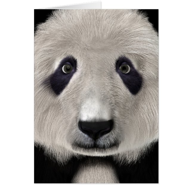 Panda Bear (Vorne)