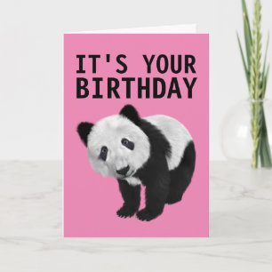 PANDA BEAR BIRTHDAY CARD KARTE