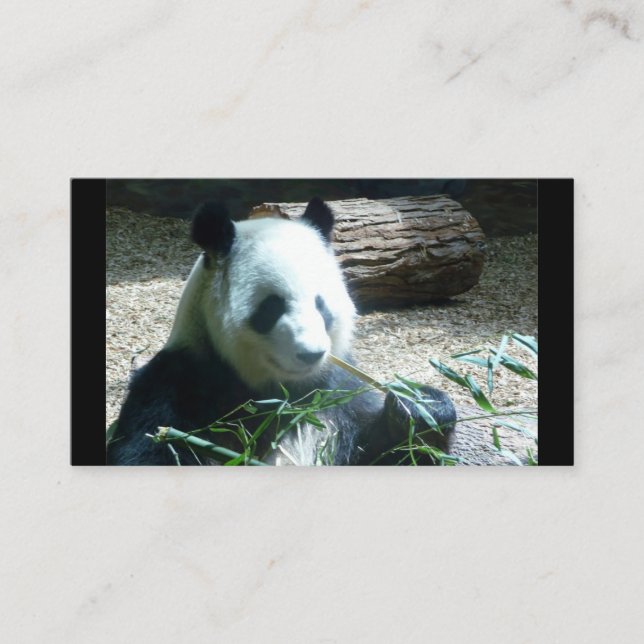 Panda Bear Business Cards Visitenkarte (Vorderseite)
