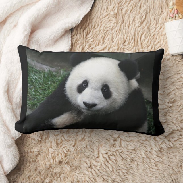 PANDA BEAR CUDLE PILLOWS LENDENKISSEN (Decke)