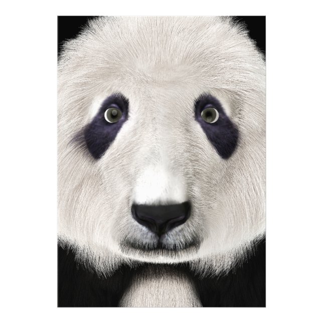 Panda Bear Fotodruck (Vorne)