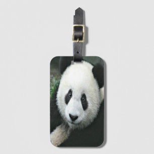 Panda Bear Gepäckanhänger