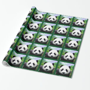 Panda Bear Geschenkpapier