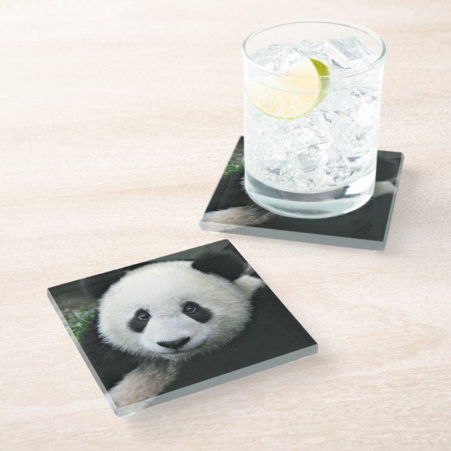 Panda Bear Glasuntersetzer (Schrägansicht)