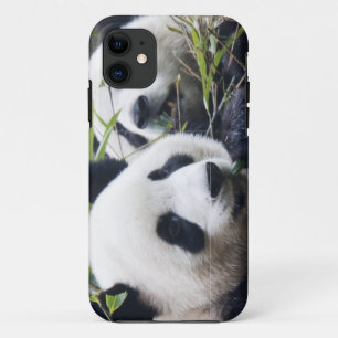 Panda Bear Hugs Case-Mate iPhone Hülle