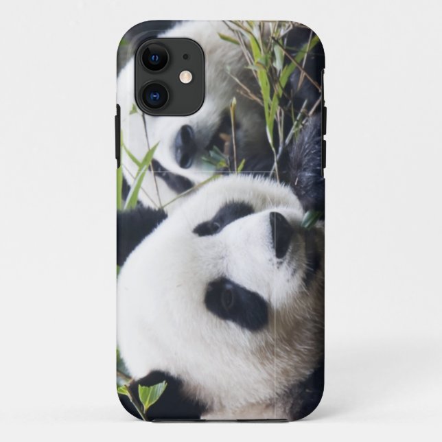 Panda Bear Hugs Case-Mate iPhone Hülle (Rückseite)