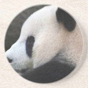 Panda Bear Hugs Getränkeuntersetzer
