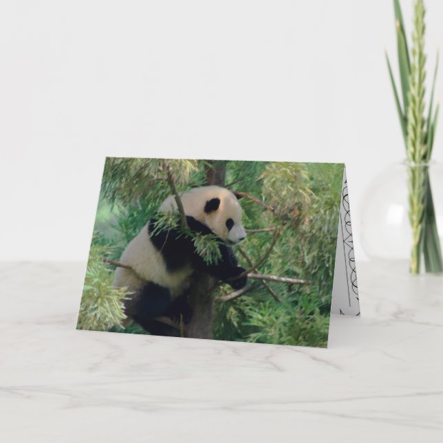 Panda Bear Hugs Karte (Vorderseite)