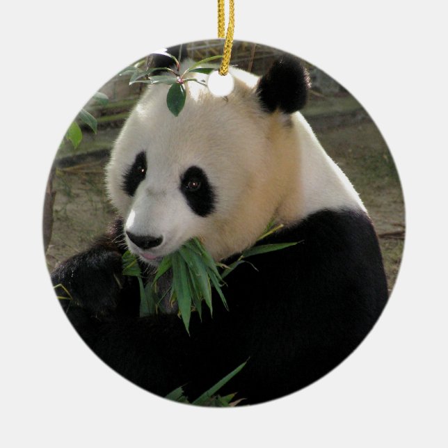 Panda Bear Hugs Keramikornament (Vorne)