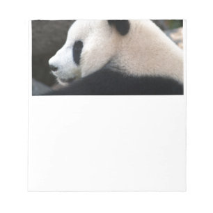 Panda Bear Hugs Notizblock