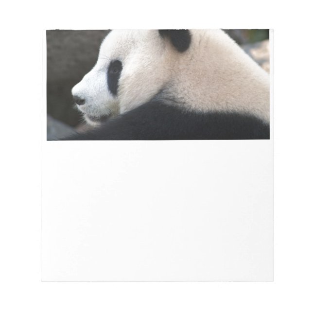 Panda Bear Hugs Notizblock (Vorderseite)