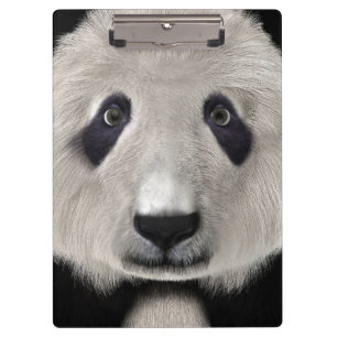 Panda Bear Klemmbrett