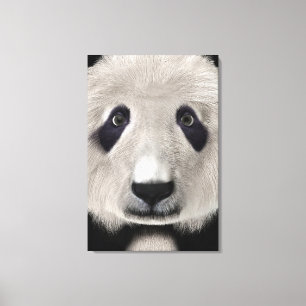 Panda Bear Leinwanddruck