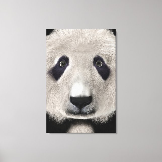 Panda Bear Leinwanddruck (Vorderseite)