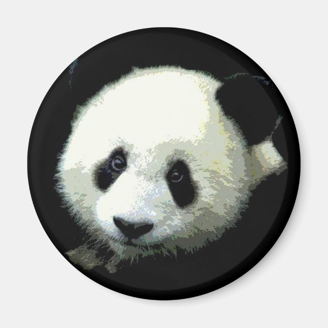 Panda Bear Magnet (Vorne)