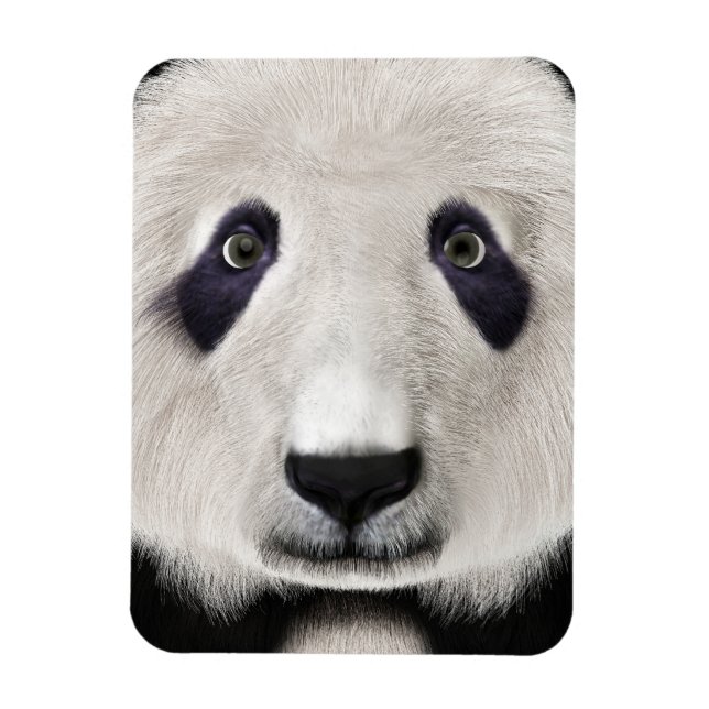 Panda Bear Magnet (Vertikal)