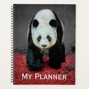 Panda Bear Planer
