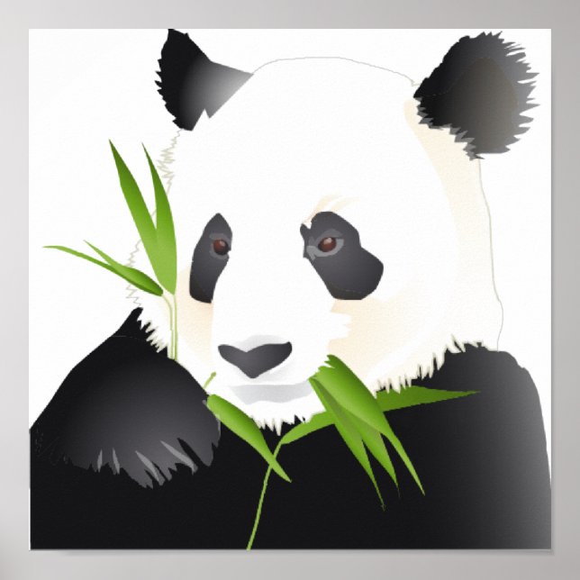 Panda Bear Poster (Vorne)