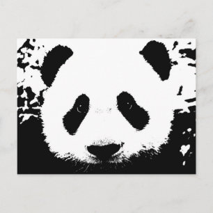 Panda Bear Postkarte