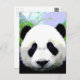 Panda Bear Postkarte (Vorne/Hinten)