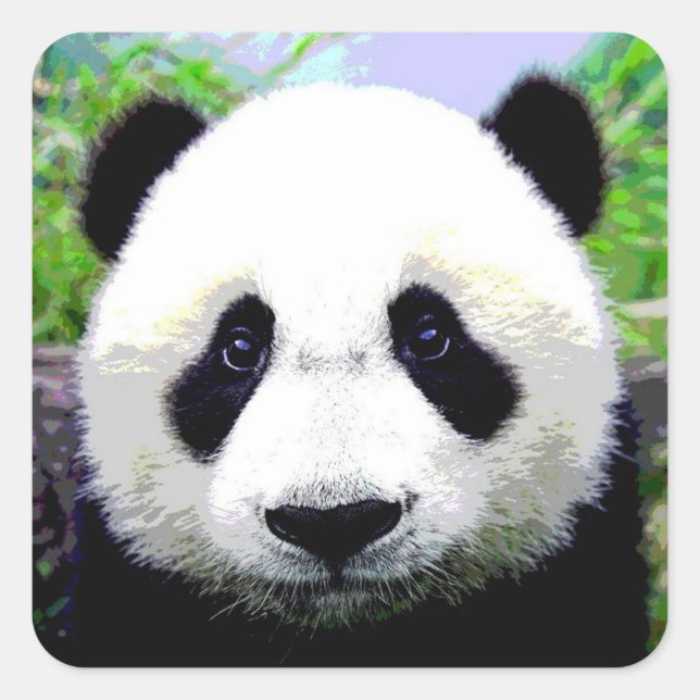 Panda Bear Quadratischer Aufkleber (Vorderseite)