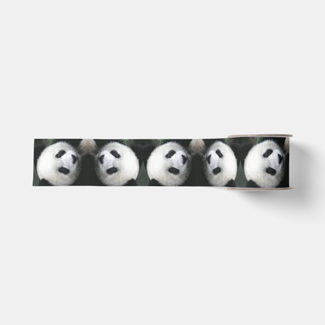 Panda Bear Ribbon Ripsband (Vorderseite)