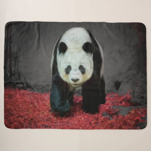 Panda Bear Sherpadecke