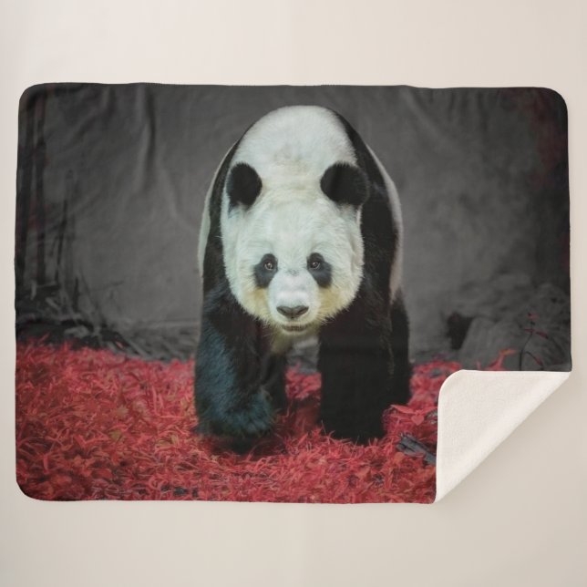 Panda Bear Sherpadecke (Vorderseite (Horizontal))