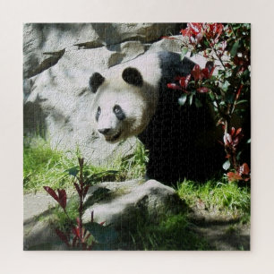 Panda Bear Smile Puzzle