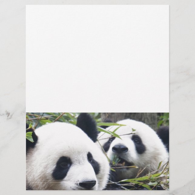Panda Bears (Vorderseite)