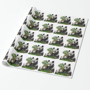 Panda Bears Geschenkpapier