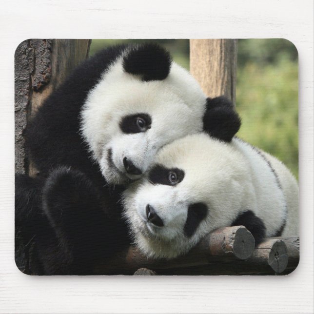 Panda Bears Mousepad (Vorne)