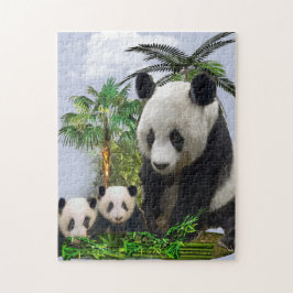 Panda Bears Puzzle